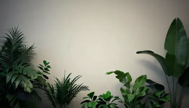 提示词交易发货的常见误区与正确理解